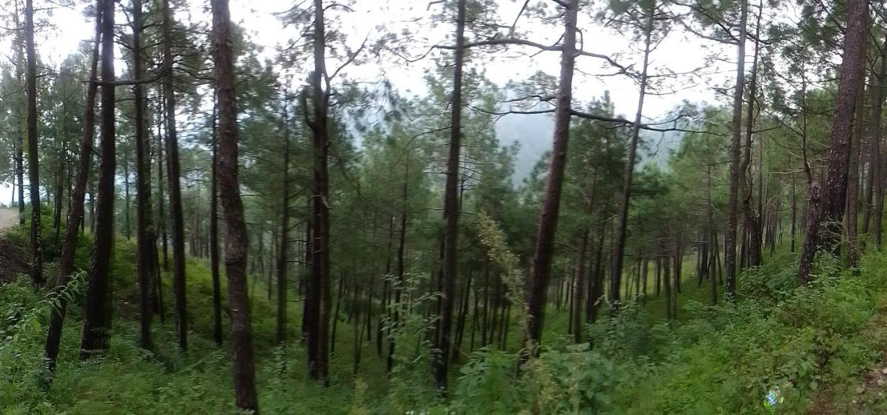 Thakur Homes- Couple And Family Friendly Homestay Shimla Extérieur photo