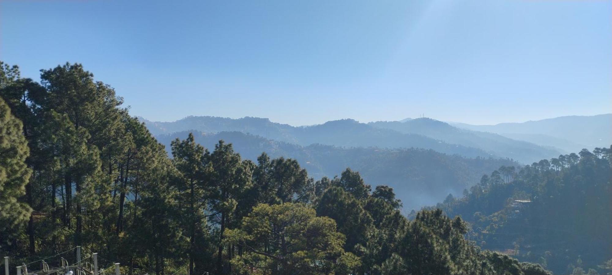 Thakur Homes- Couple And Family Friendly Homestay Shimla Extérieur photo